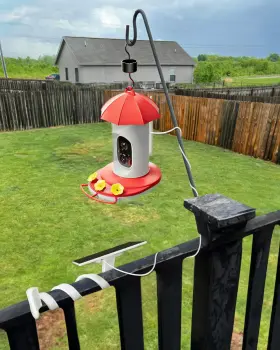 Direct 313088187168 Solar Panel Bird Feeder Camera Type-c Charger Flexible Twist Mount Tree Outdoors