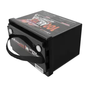 Yn31gj Maxpeedingrods 100ah 12v Lithium Battery For Backup Power Rv Low Temp Protection 23lbs