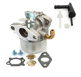Owigift 718997297487 Carburetor Carb For Coleman Powermate 2000 2500 3200 3750 Watt Generator Pm05