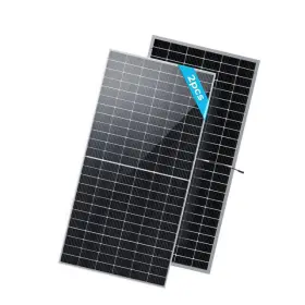 Rsp550dt-144x2-us Renogy 2pcs Bifacial 550 Watt Monocrystalline Solar Panel