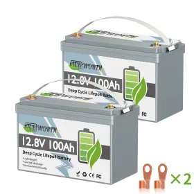 Tcb12100 Tcbworth 2pcs 12v 100ah Lifepo4 Deep Cycle Lithium Battery 100a Bms For Rv Solar Panels