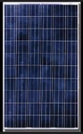 Eight Panels By Canadian Solar, Model CS6P-255P Used. Price: $500.00.