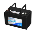 12V 115AH Leoch Agm Lead Carbon Deep Cycle Battery (LDC12-115-G31-DT) New. Price: $259.83.