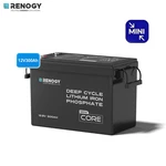 Renogy 12V 300AH Core Mini Deep Cycle LIFEPO4 Lithium Battery Backup Power IP65 New. Price: $699.99.