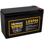 Compact 12V 10AH Lithium Iron Phosphate Battery Eco-friendly Power Solution New. Price: $58.09.