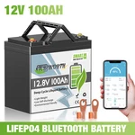 Mini 12V 100AH LIFEPO4 Lithium Battery Deep Cycle For Rv Off-grid Trolling Motor New. Price: $176.39.