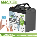 12V 100AH LIFEPO4 Lithium Mini Battery Bluetooth Bms For Solar Rv Off-grid New. Price: $176.39.