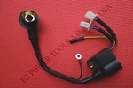 Powermate PM0152000 PM2000I 1600 Watt Inverter Generator Ignition Coil New. Price: $74.99.