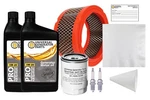 Ugp Generator Maintenance Kit For Generac A0002075499 12KW-18KW With 5W-20 Oil New. Price: $80.00.
