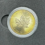 2022 Canadian Maple Leaf Silver Coin - Golden Toning Toner Ag. Price: $165.00.